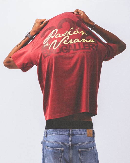 PASION DE VERANO (faded tee)