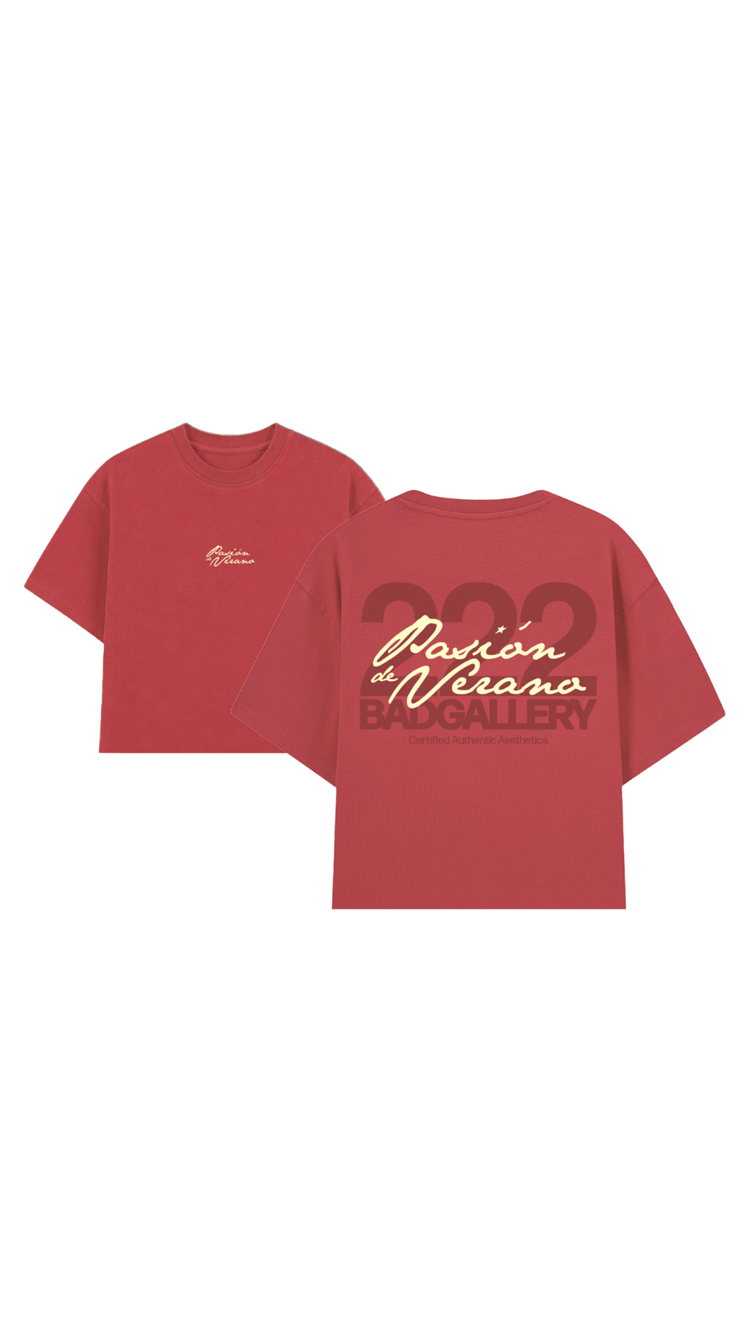 PASION DE VERANO (faded tee)