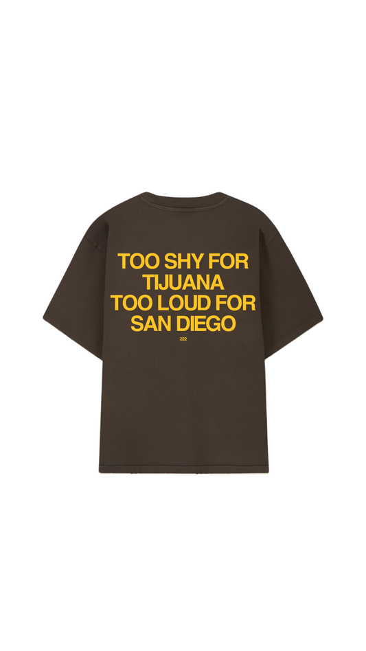 TIJUANA - SAN DIEGO (Amarillo)